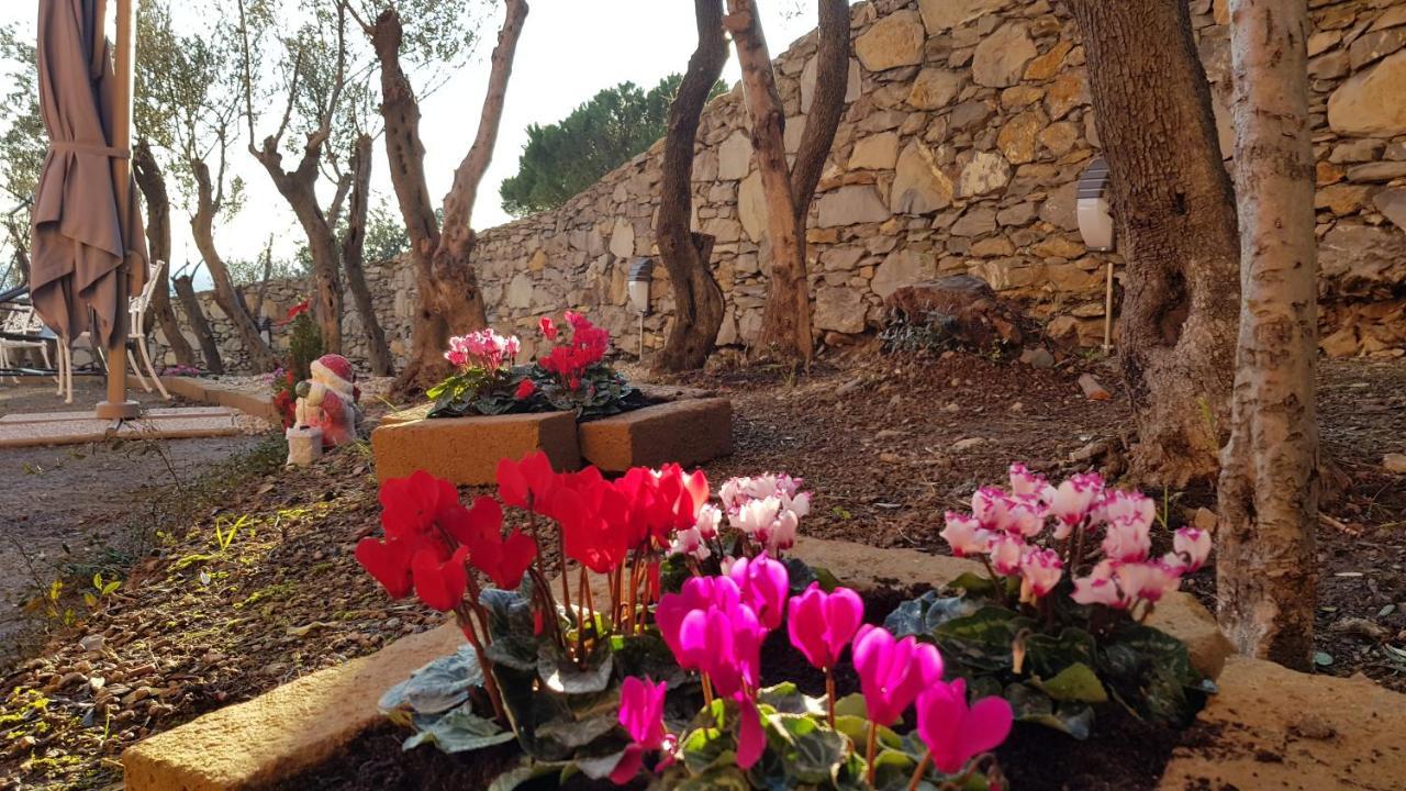 Poggio Degli Ulivi Apartamento Génova Exterior foto